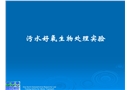 污水好氧生物處理實(shí)驗(yàn)