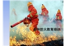 森林防火培訓(xùn)