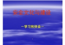 安全文化與建設