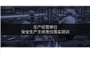 生產(chǎn)經(jīng)營(yíng)單位安全生產(chǎn)主體責(zé)任落實(shí)培訓(xùn)