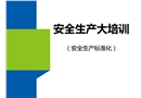安全生產(chǎn)大培訓(xùn)（安全標準化）