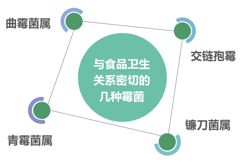 梅雨季節到來，食品廠防治發霉可以這樣做