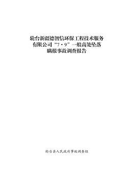 輪臺新疆德智信環保工程技術服務有限公司“7·9”一般高處墜落瞞報事故調查報告