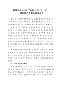 新疆玉象胡楊化工有限公司“1·19”一般物體打擊事故調查報告