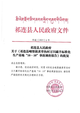 祁連縣峨堡鎮黃草溝村萬只藏羊標準化生產基地“10·10”事故調查報告