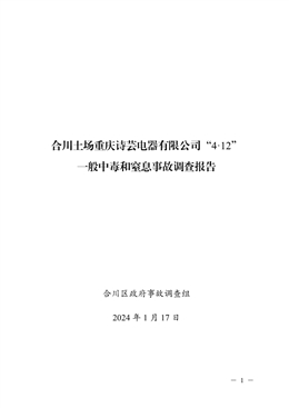 合川土場重慶詩蕓電器有限公司“4·12”一般中毒和窒息事故調查報告