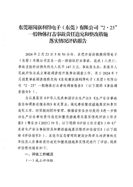 東莞謝崗旗利得電子（東莞）有限公司“2·23”一般物體打擊事故責任追究和整改措施落實情況評估報告