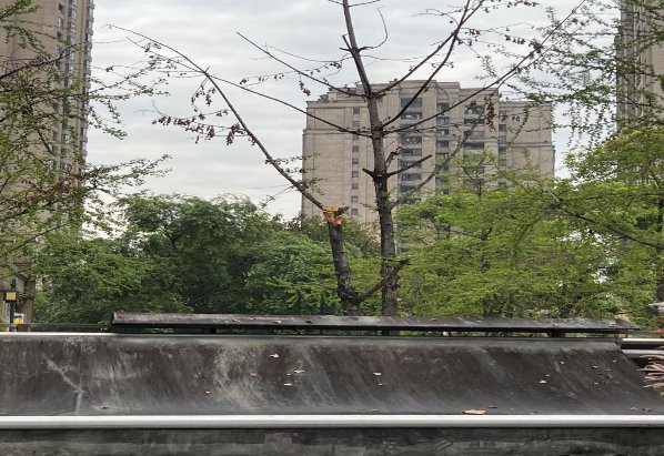 重慶喜木者花木有限公司“3·31”姚**高處墜落事故調查報告