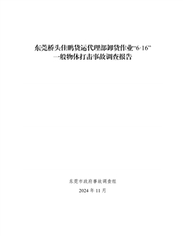 東莞橋頭佳鵬貨運代理部卸貨作業(yè)“6·16”一般物體打擊事故調查報告