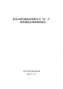 東莞石排信揚實業有限公司“12·3”一般其他傷害事故調查報告