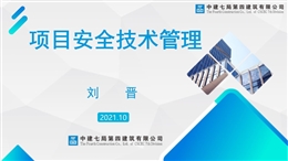 項目安全技術管理