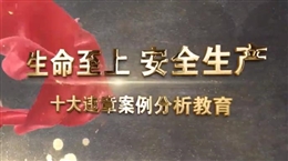 十大違章行為案例分析警示片