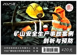 礦山安全生產事故案例剖析與預防（2025版）