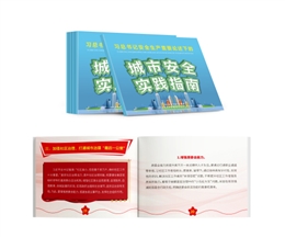 習(xí)總書(shū)記安全生產(chǎn)重要論述下的城市安全實(shí)踐指南隨身學(xué)