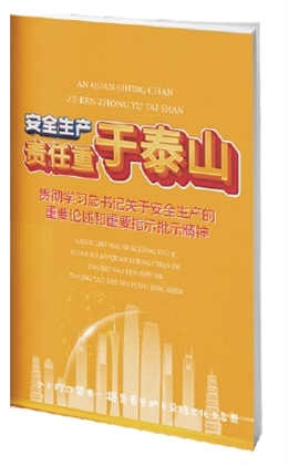 貫徹學習總書記關于安全生產的重要論述和重要指示批示精神